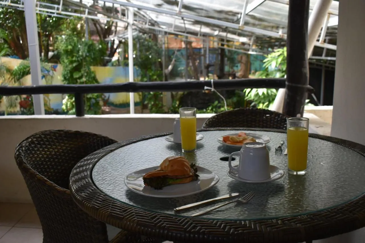 Hotel Kinkaa Playa Del Carmen
